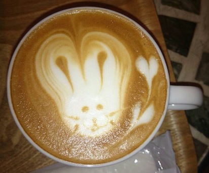 Rabbit Latte